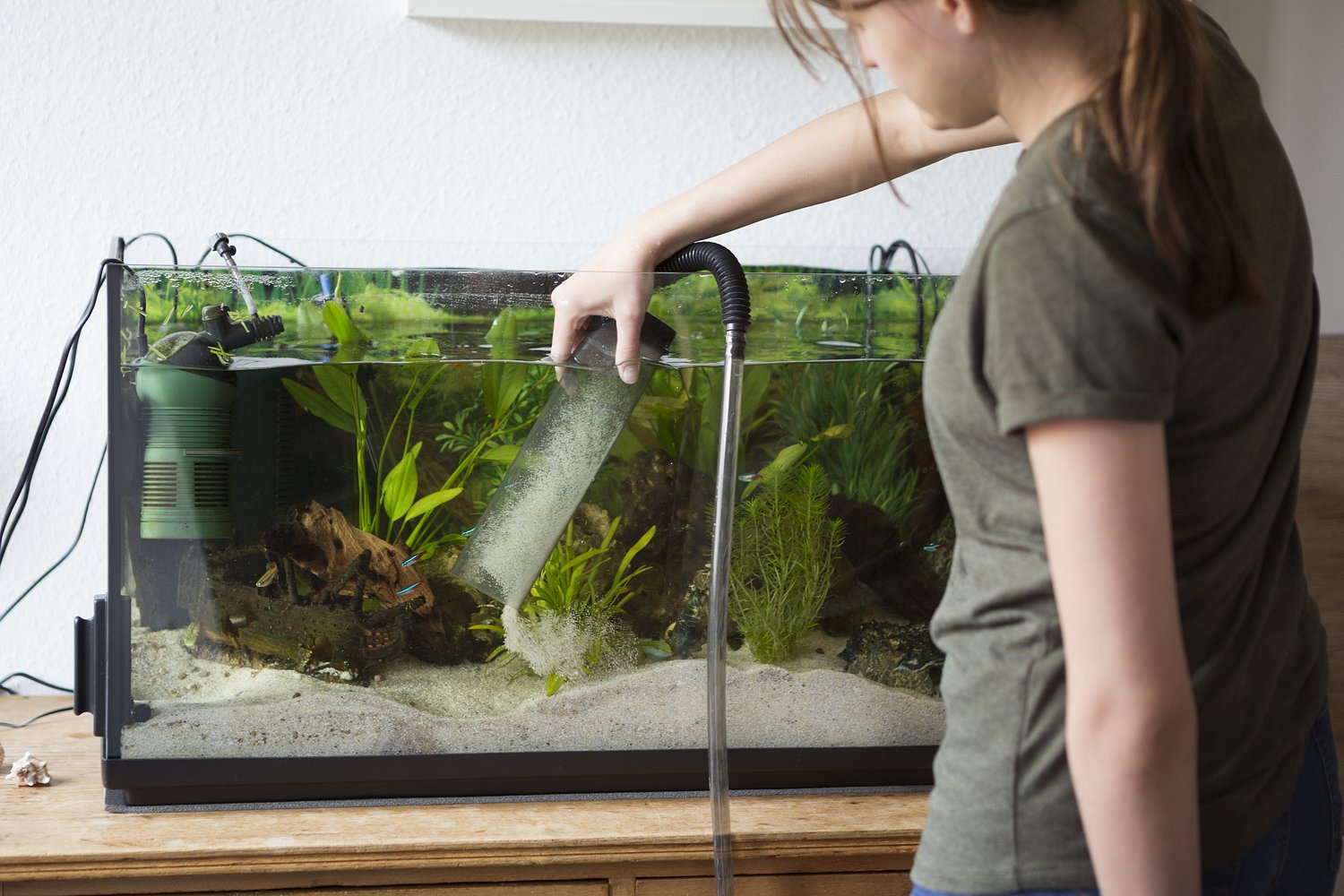 Dear Annie: My neighbor blames me for her dead fish, but it was an accident