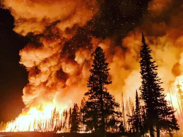Fact-checking True North’s claims about Canadian wildfires