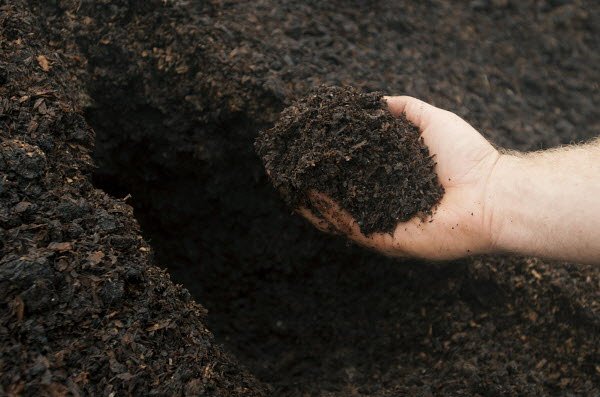 Never too early to start thinking about steps to healthy garden soil