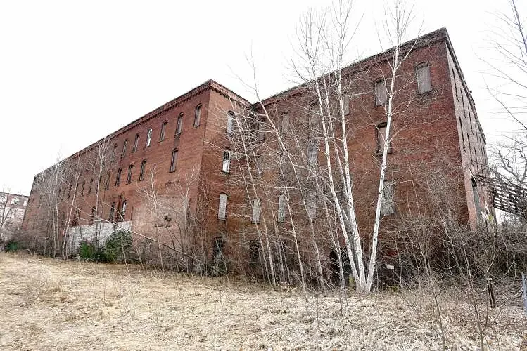 Firm to determine potential uses of former cereal factory site in Orange