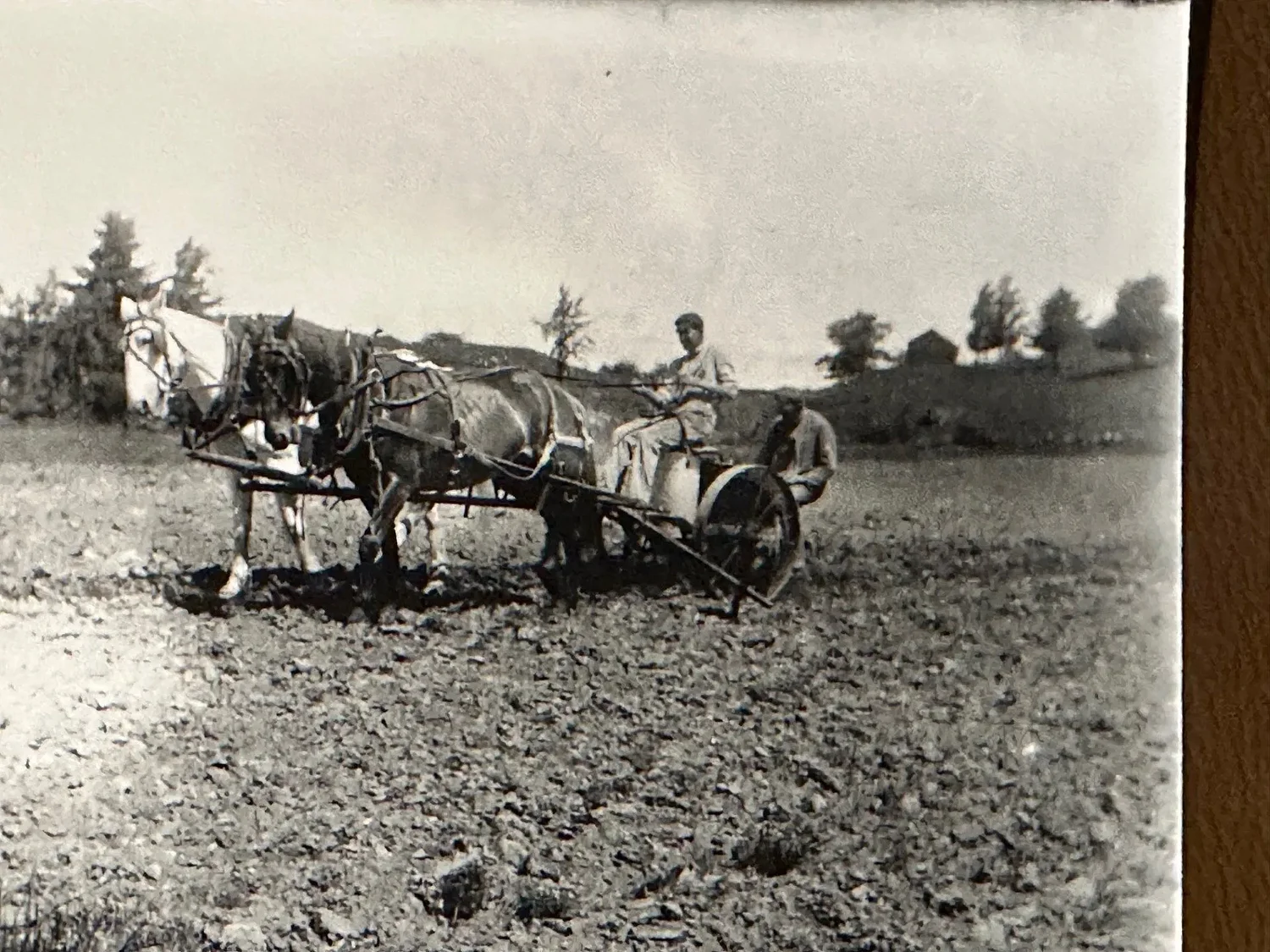 Shelburne’s agricultural past revealed in photos this weekend