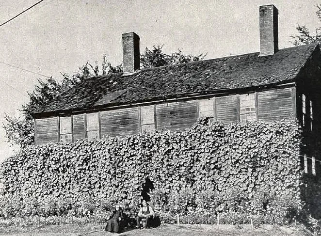 Vintage Views: Our beloved taverns
