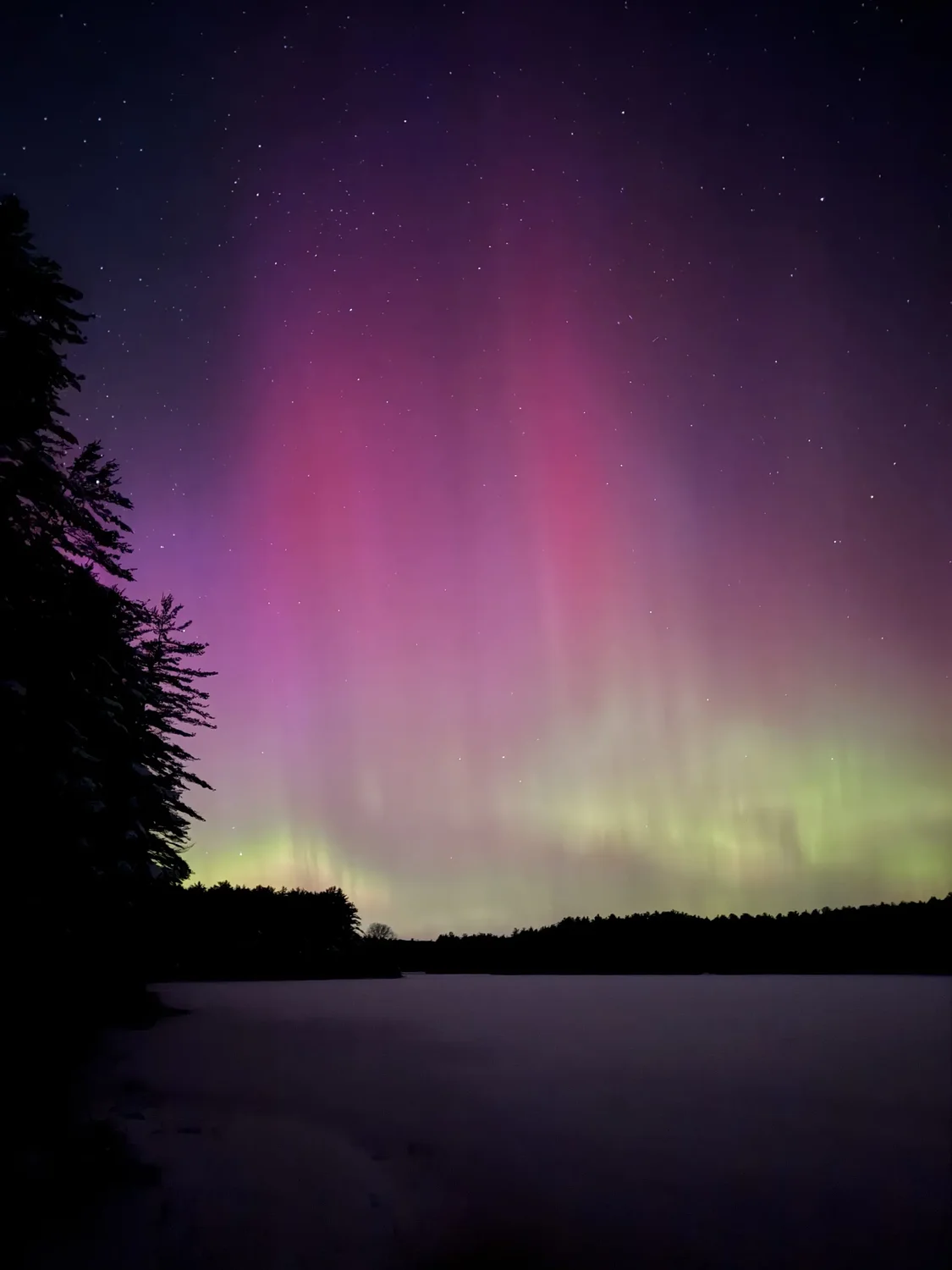 Nature Photo Contest
