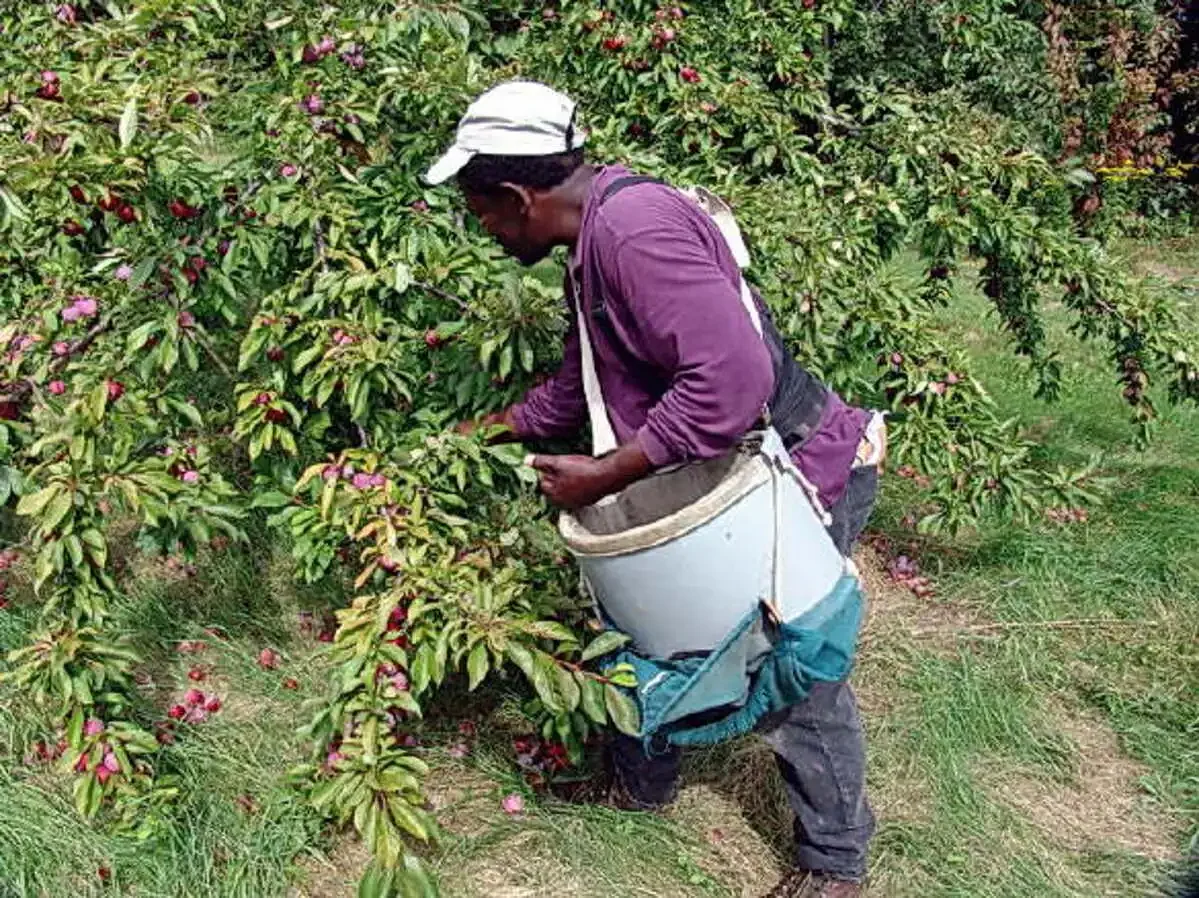 Letter: Immigrants deserve respect, dignity