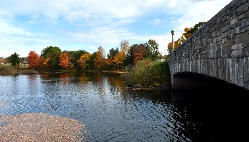 Opinion: Native to NH at heart