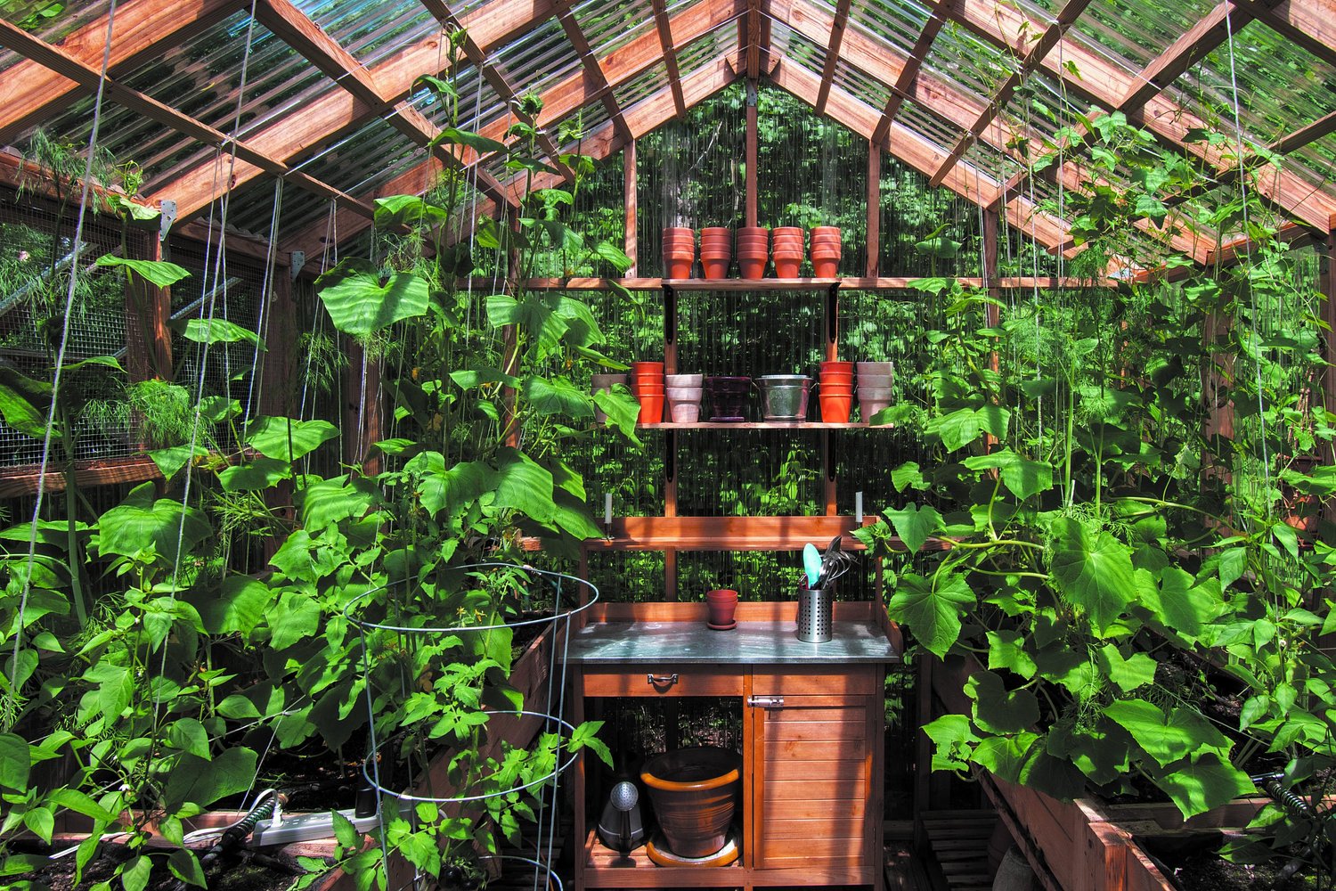 Greenhouses 101