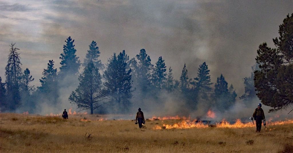Trump’s new conditions on DEI, immigration could cut off states’ wildfire funding