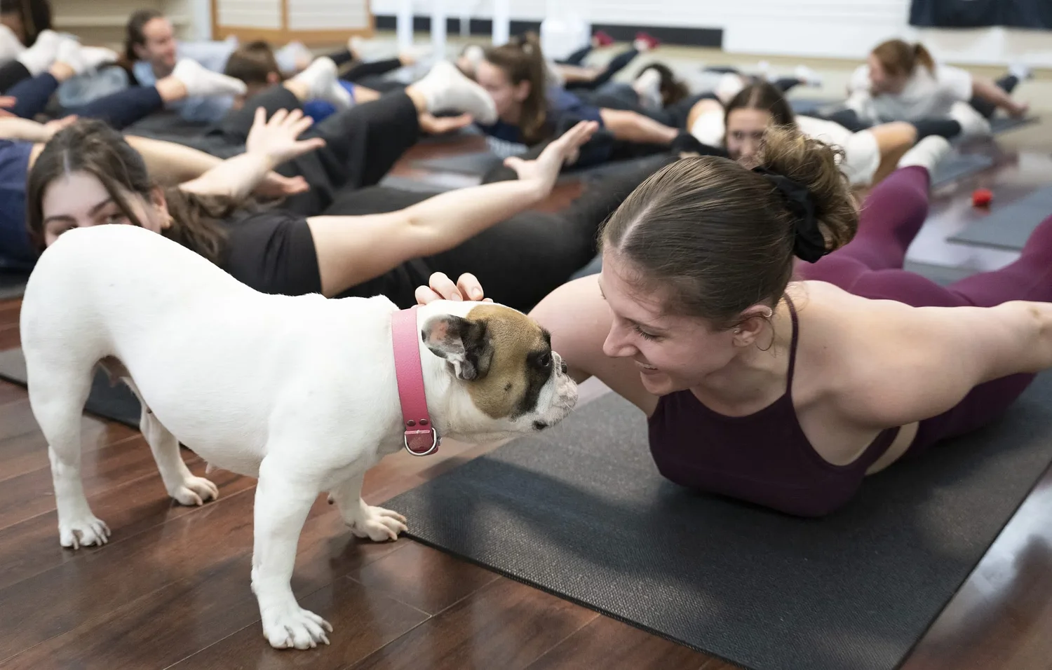 ‘Snuggle session for the soul’: Hadley yoga studio offers playful twist on wellness