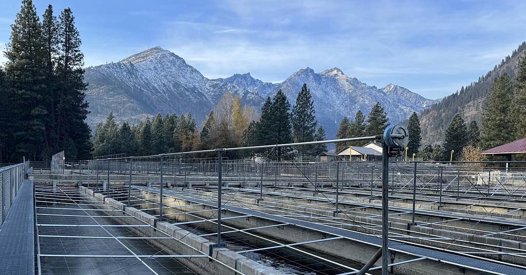 SPECIAL REPORT: PNW hatcheries face rising costs, crumbling infrastructure