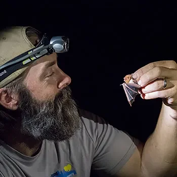Learn about bats with Jacques Veilleux during Bat Appreciation Month
