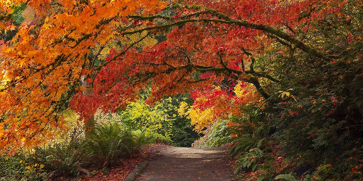 King County Receives Nearly $14 Million For Local Parks And Trails