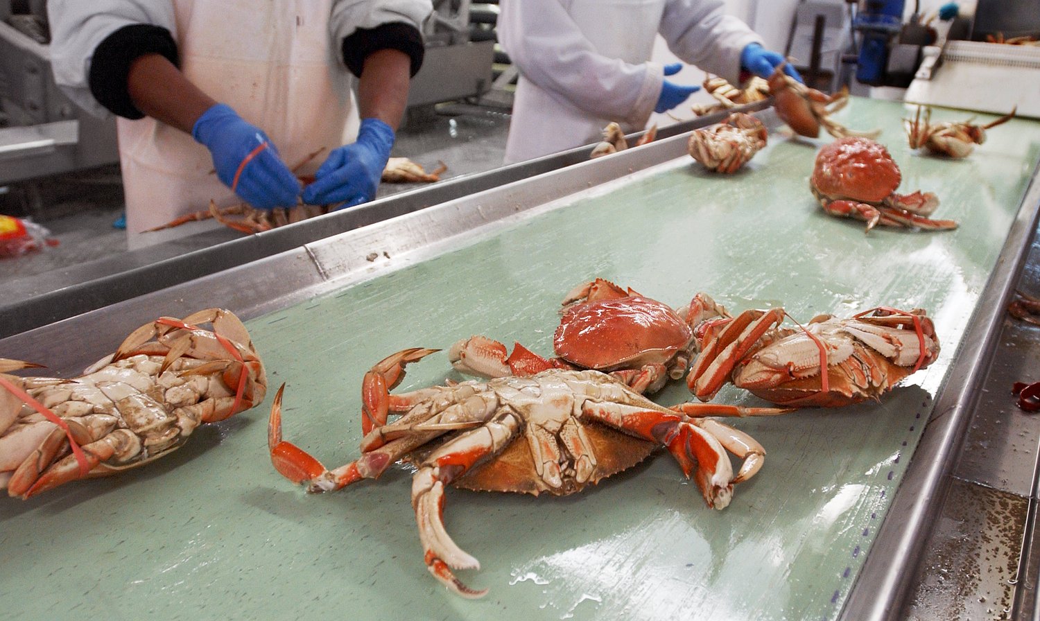 Pacific Seafood’s $3.2 million fine exposes clash over Oregon water rules, industry viability