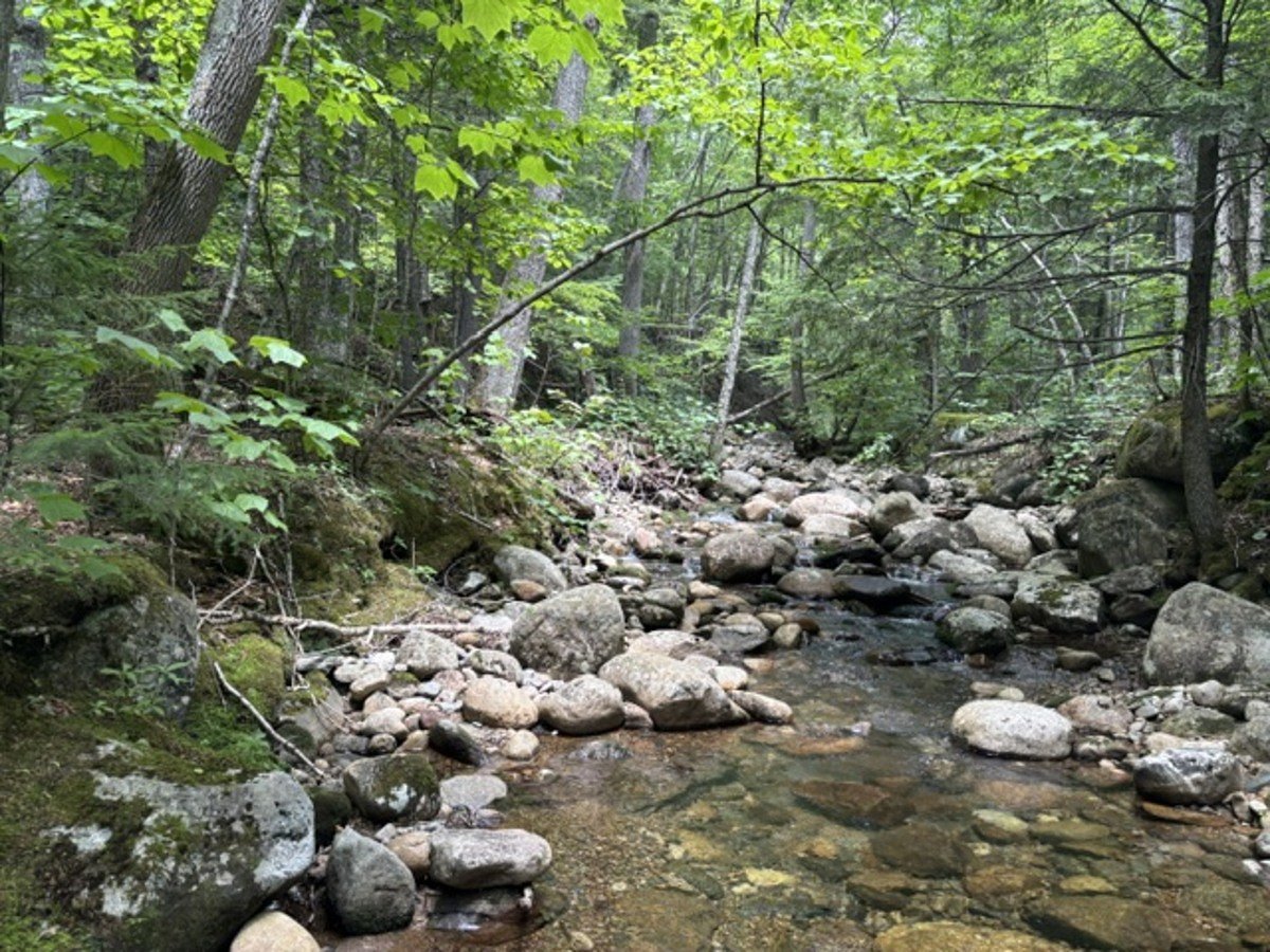 I compared Maine trout fishing to Montana’s. That was a mistake.  