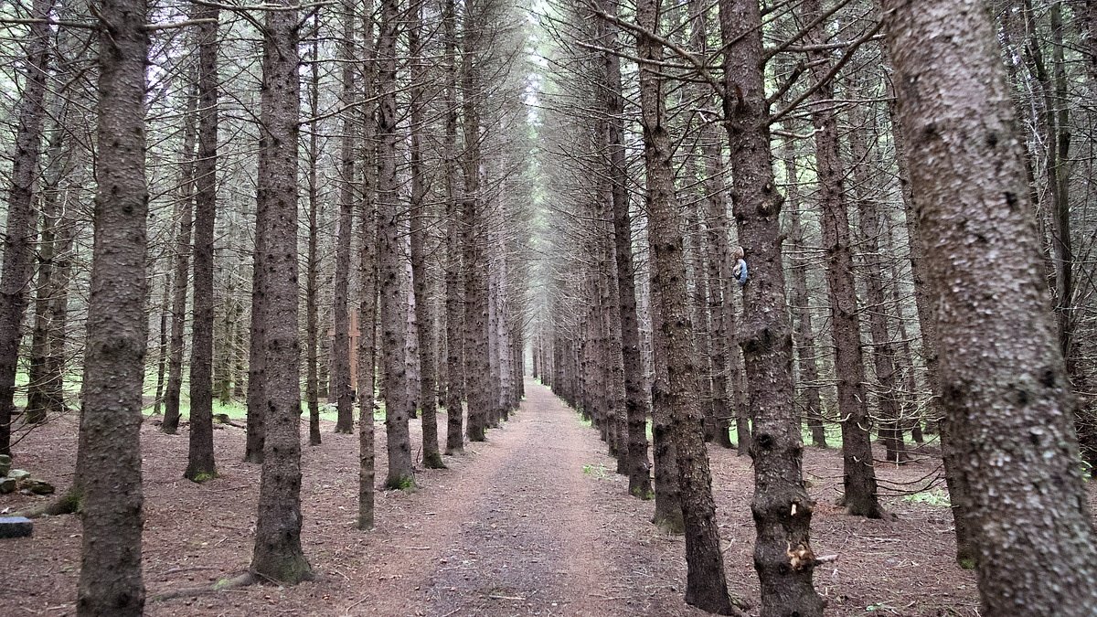Morning Update: What you need to know in Maine today