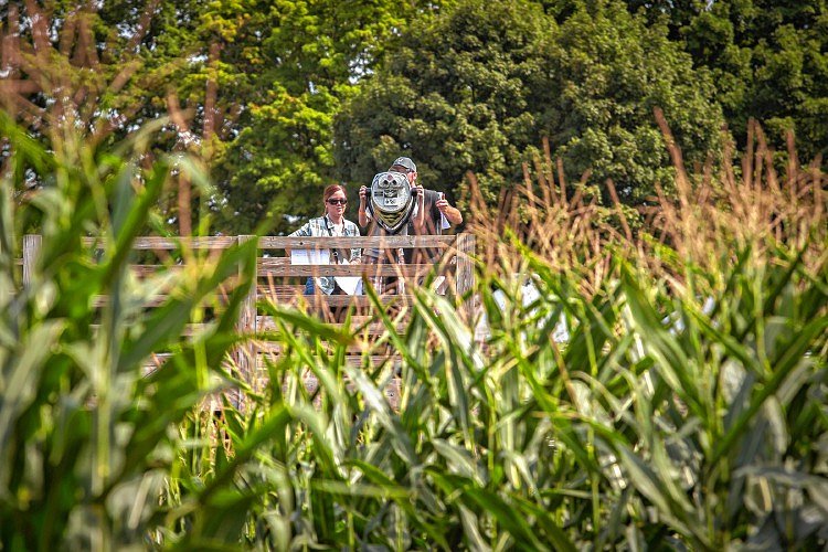 No laughing matter: Senator presses Boston radio hosts over corn maze jokes