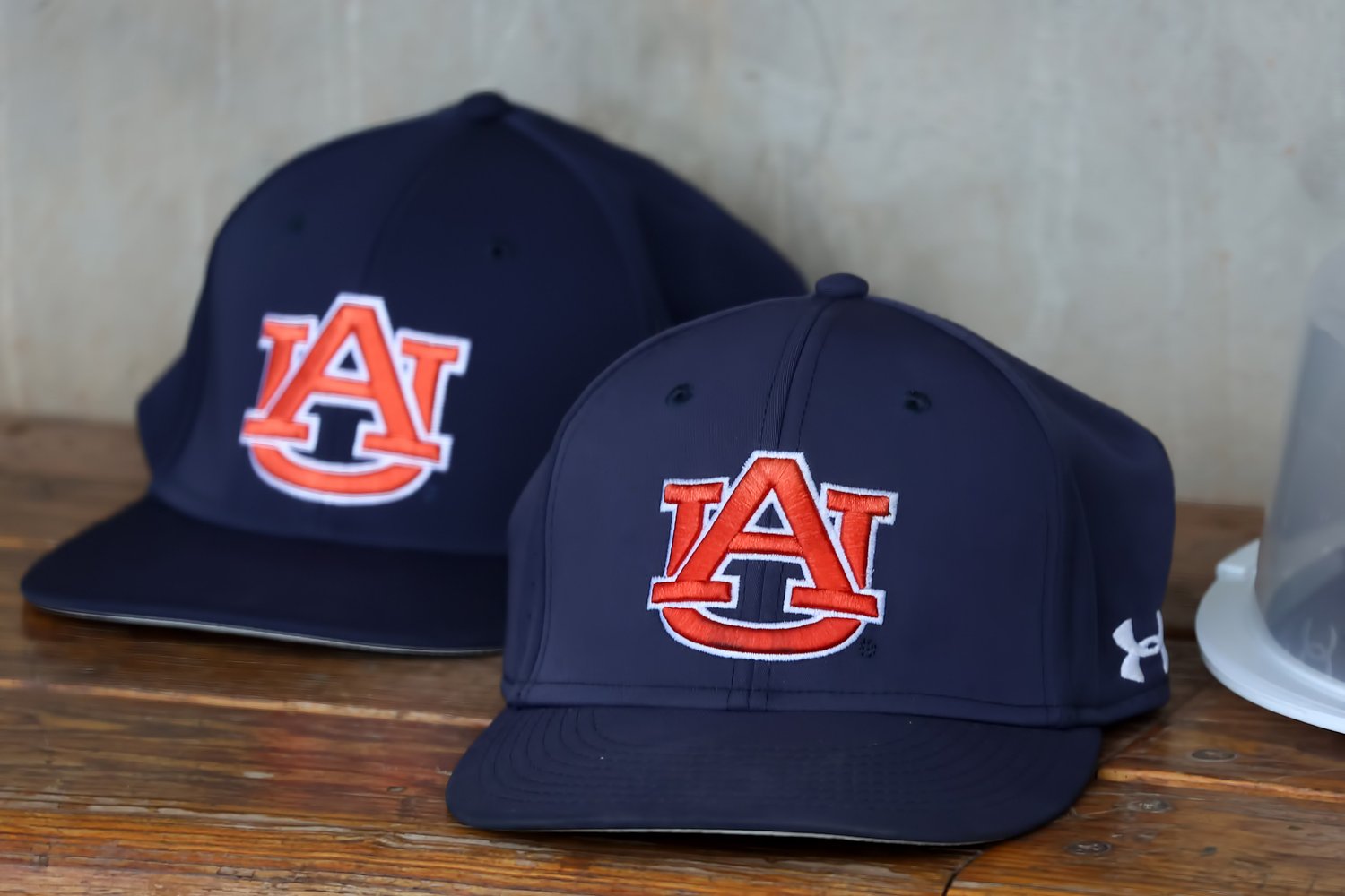 Former Georgia assistant Nick Ammirati joins Auburn baseball staff