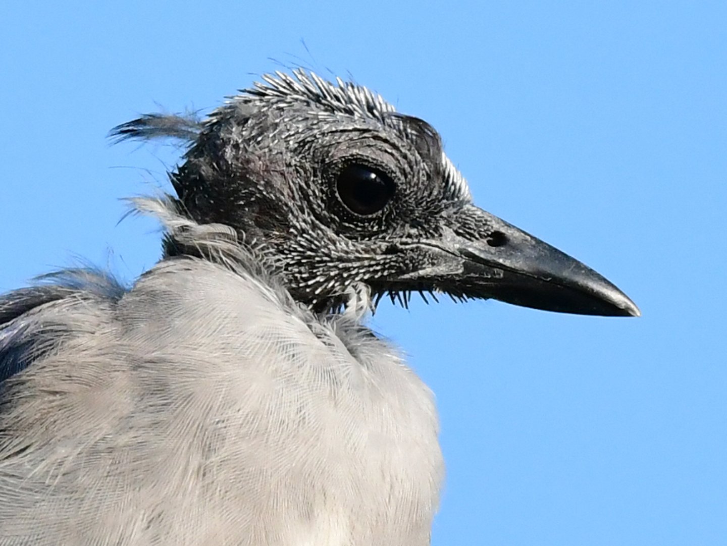 Speaking of Nature: Facing the fledgling fears of a new semester