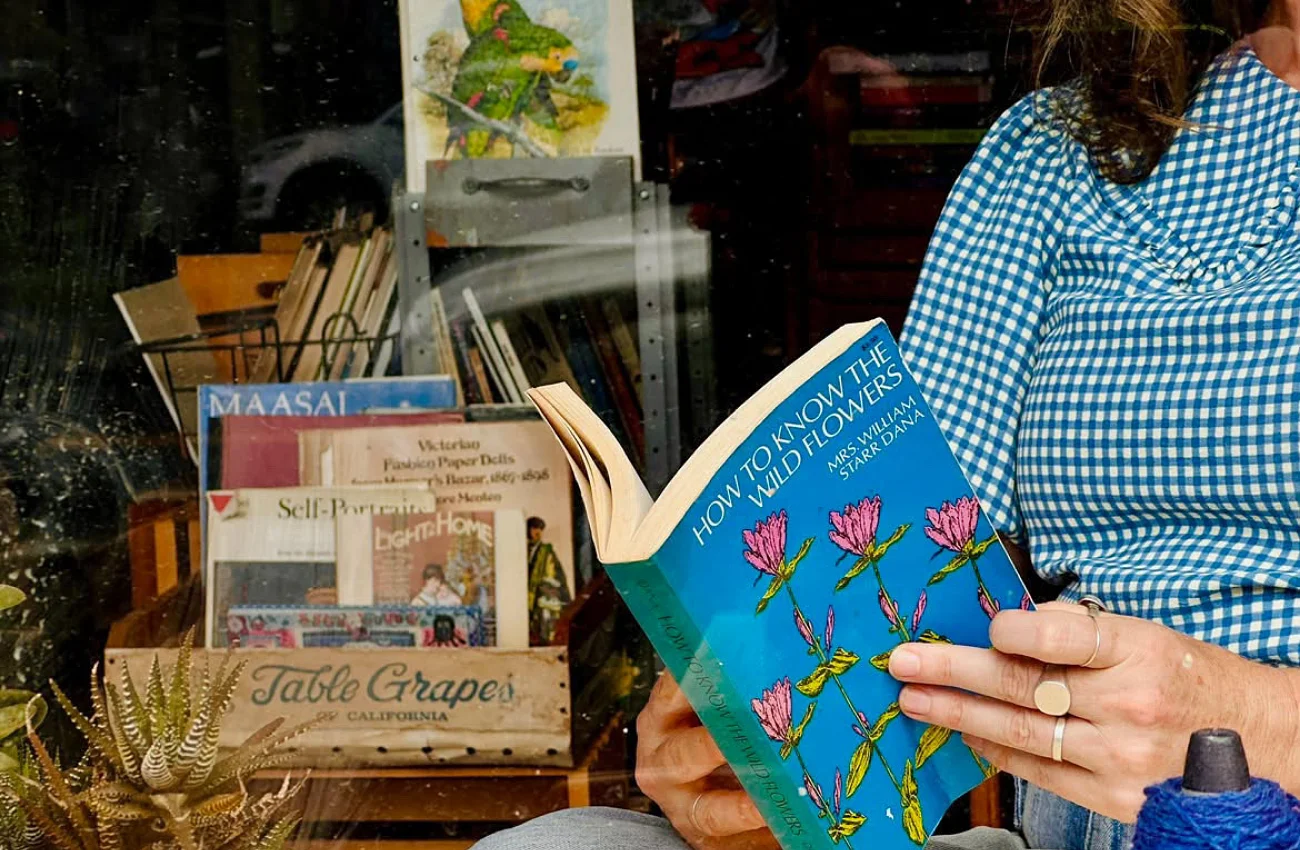 Libros Colette Wants You to Hang Out With Books.