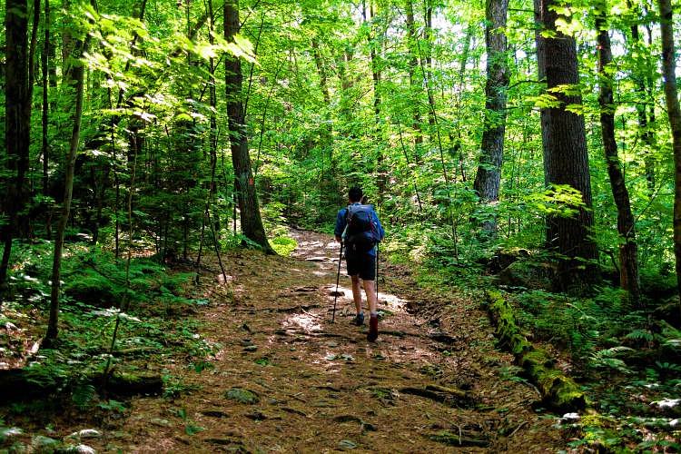 Leverett protects part of Robert Frost Trail with 27-acre conservation agreement