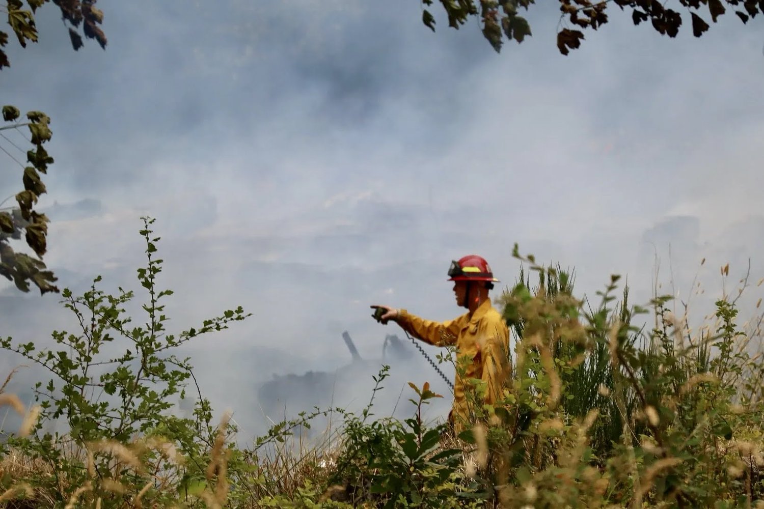 Discarded cigarette spotted near Skinner Butte fire, officials say