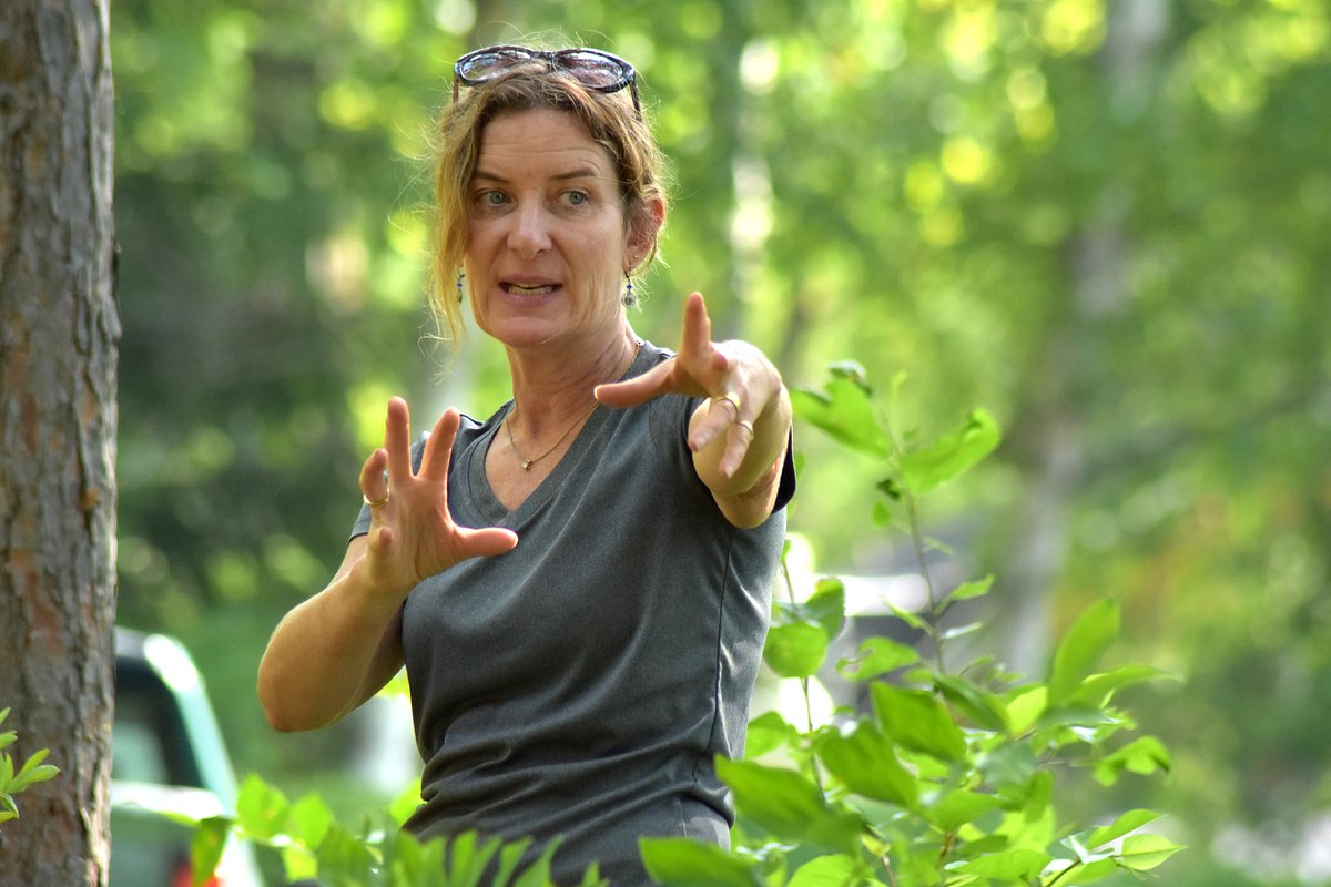 A southern Aroostook group is slowing shoreline erosion with natural materials