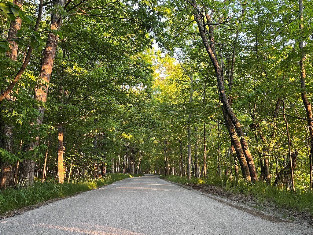 4 more sections of Tunnel of Trees close after ‘extreme rain event’