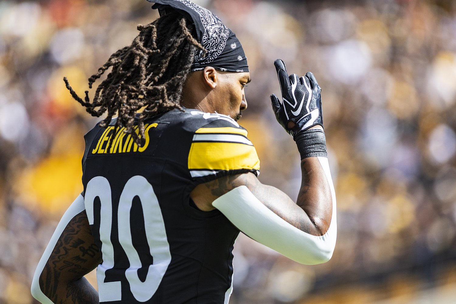 Baltimore Ravens sign just-released Steelers safety