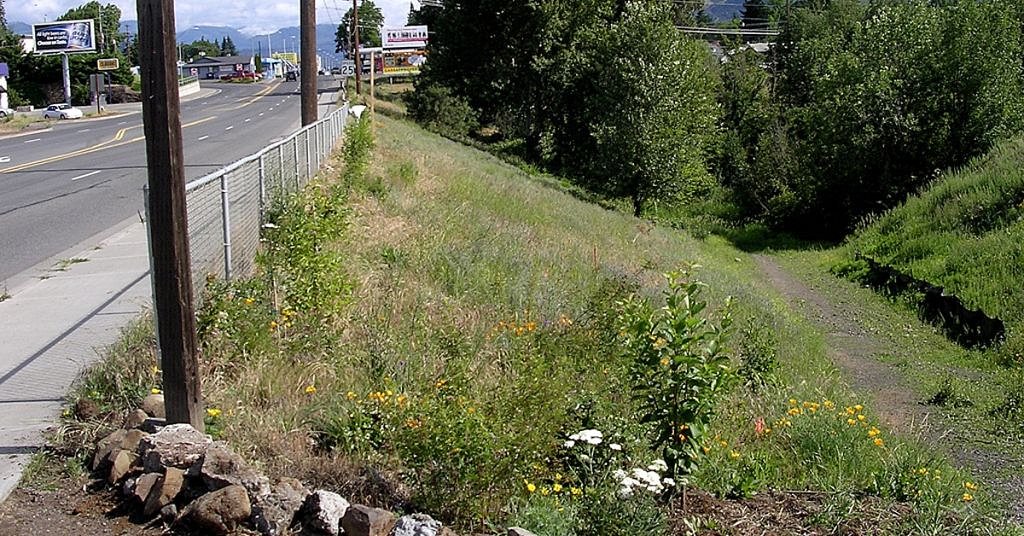 When adopting a roadside goes beyond picking up trash