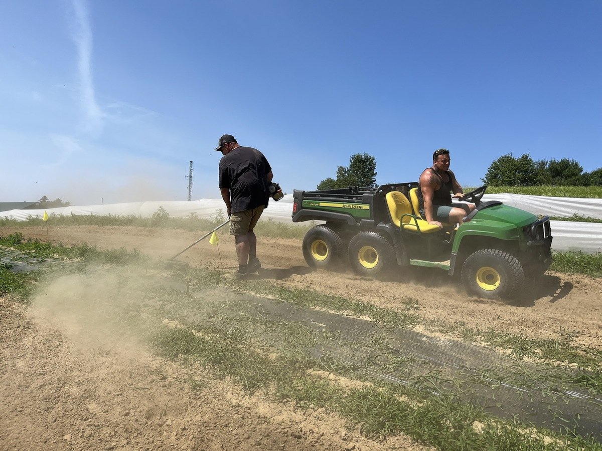 Inmates grow vegetables at midcoast garden as its food security programs expand