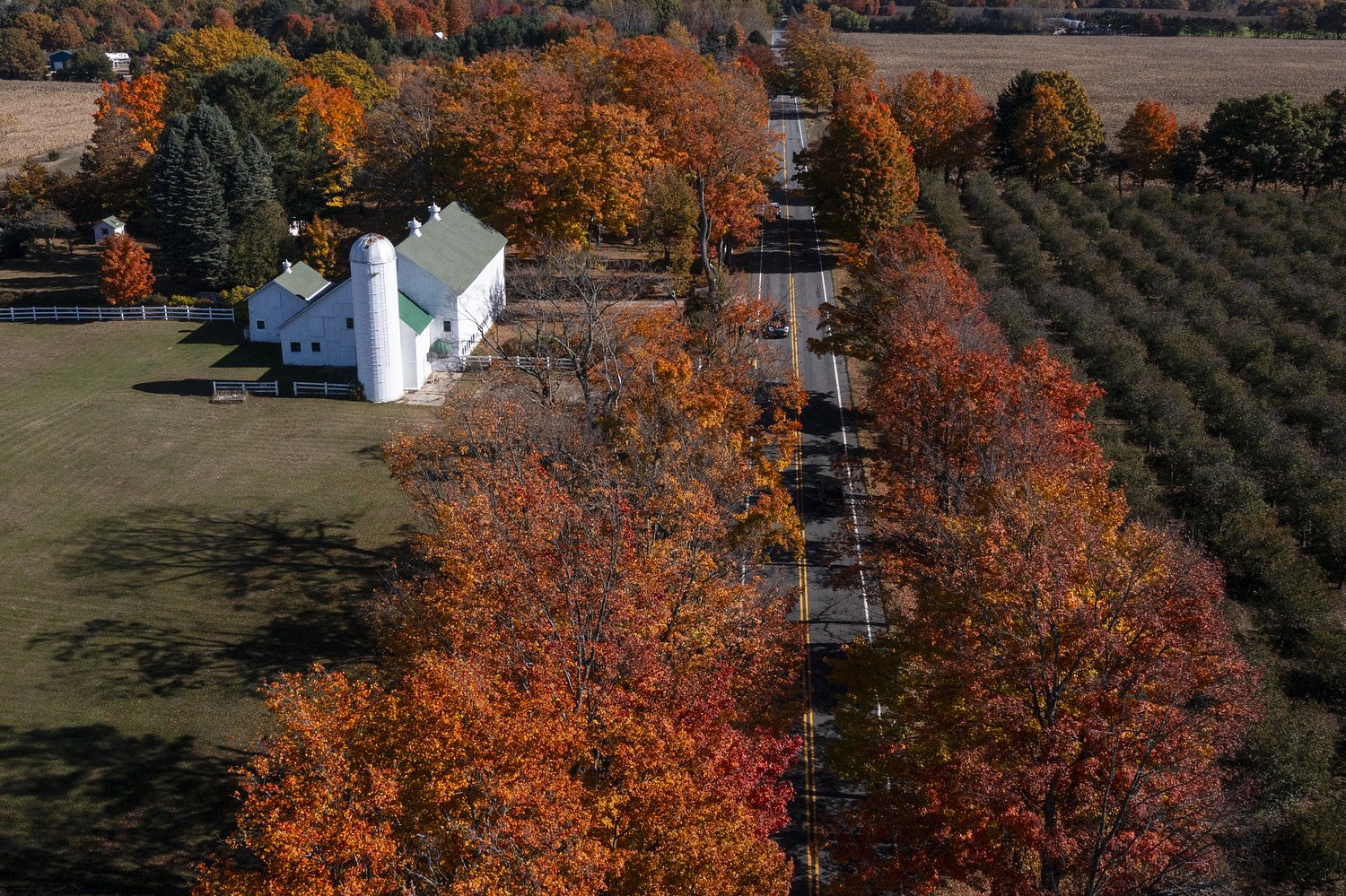 Looking for fall color? Take the back roads