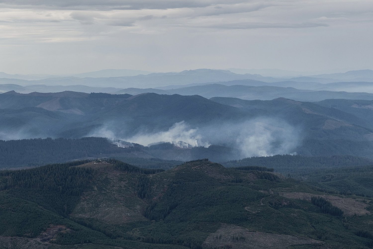 State forests in western Oregon will see less clear-cutting under new plan