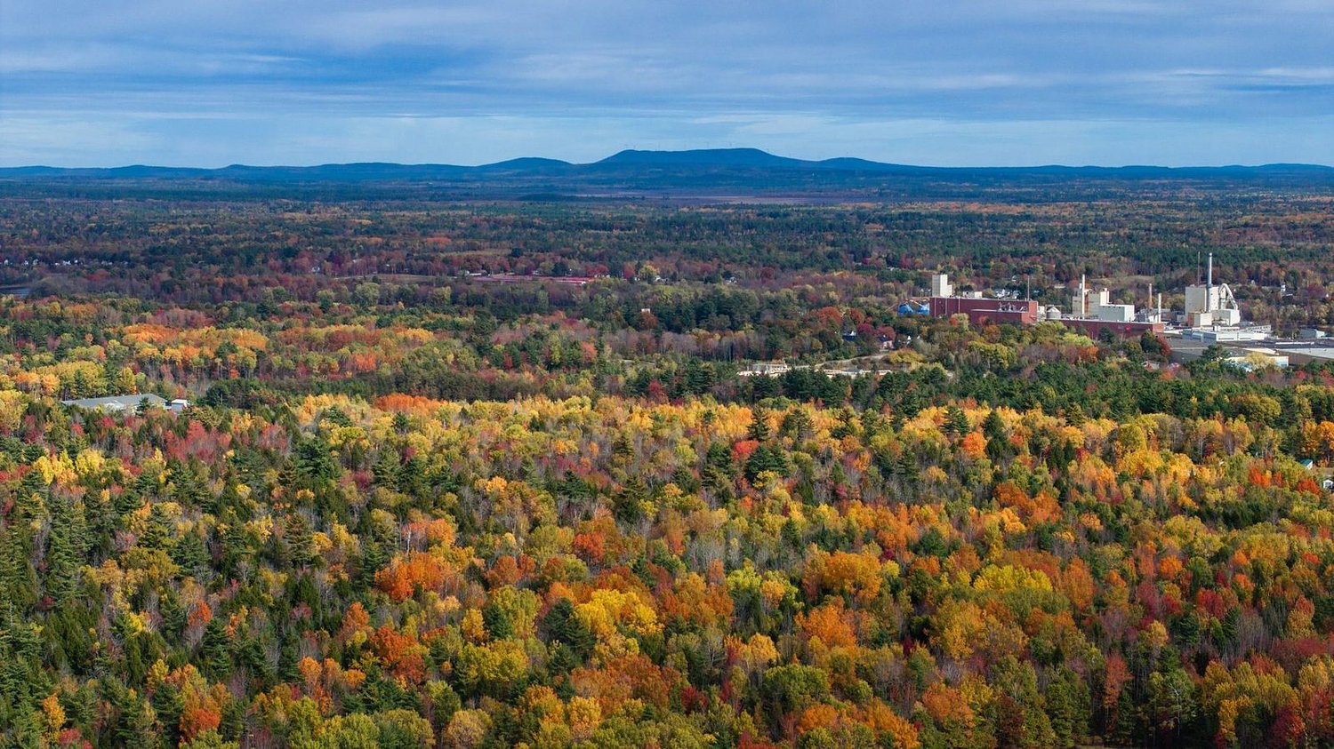 Maine's forest acres are an essential dual economic engine