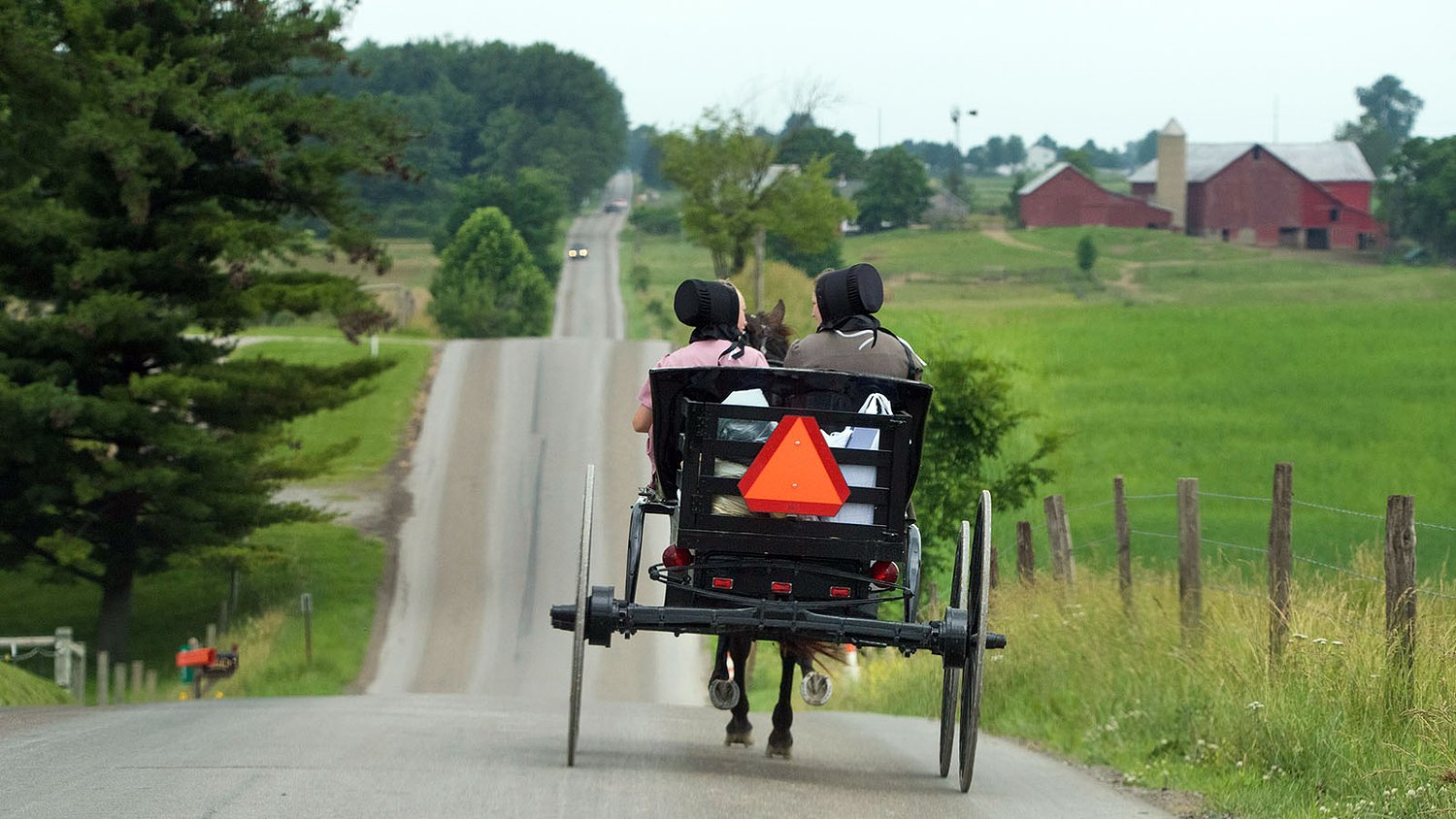 How an Orthodox Jewish scholar found an unexpected home among the Amish