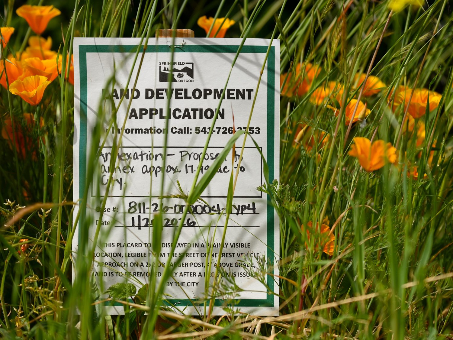 Lane County, Springfield ‘making progress’ on behavioral health campus