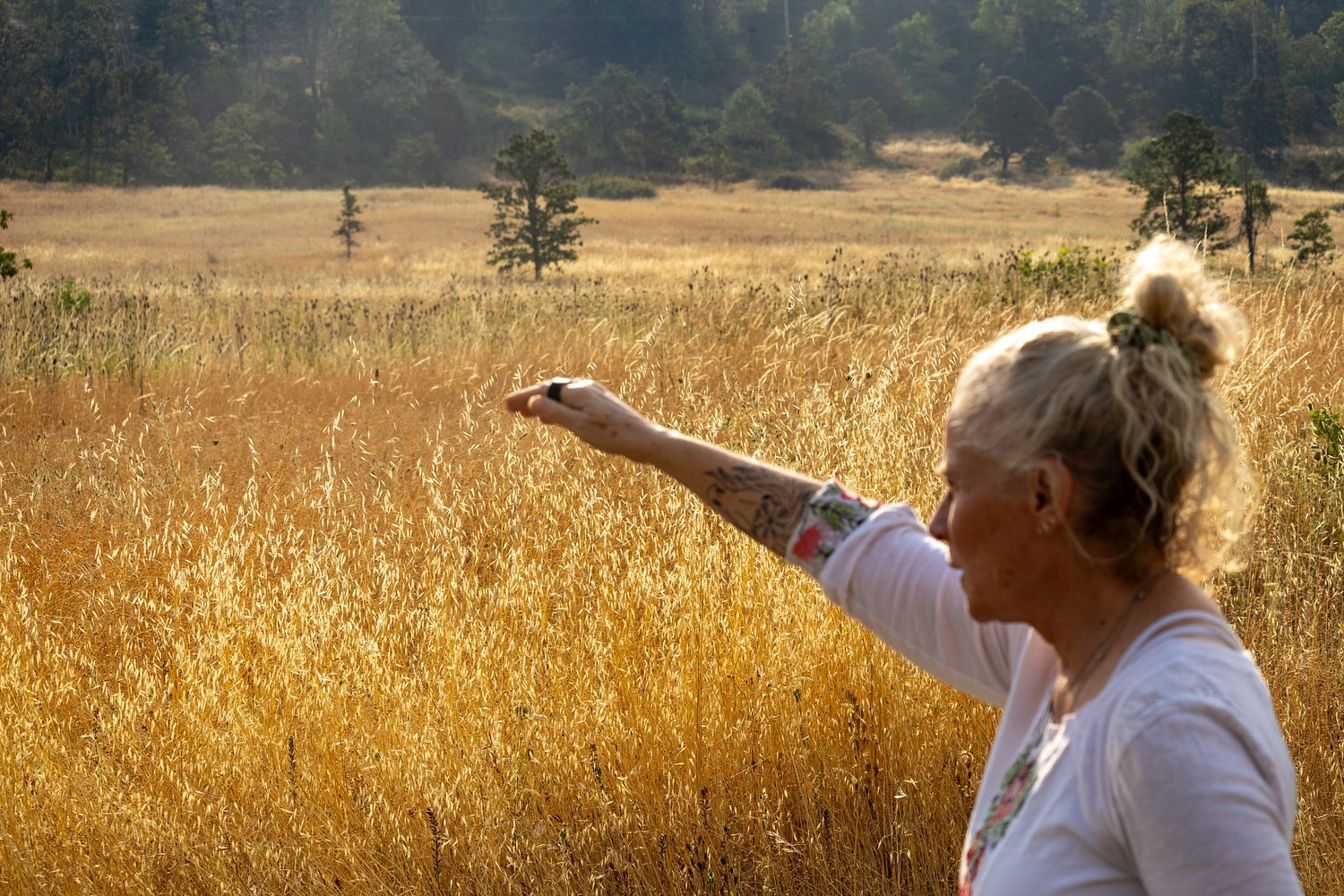 An oak prairie becomes one neighborhood's last line of defense