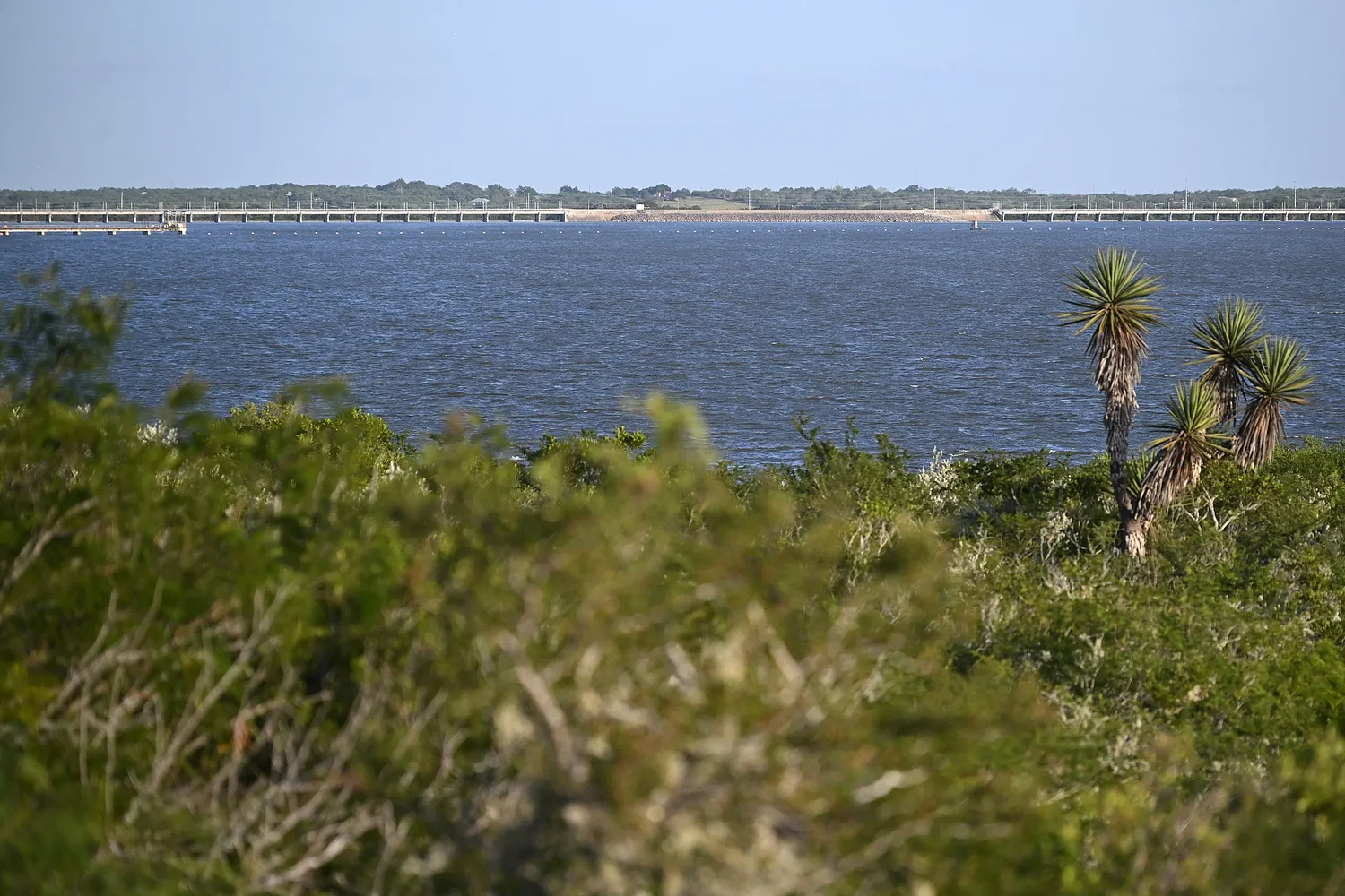 How Corpus Christi’s water emergency exposed flaws in Texas’ water planning