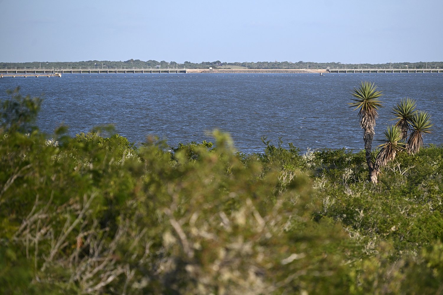 How Corpus Christi’s water emergency exposed flaws in Texas’ water planning