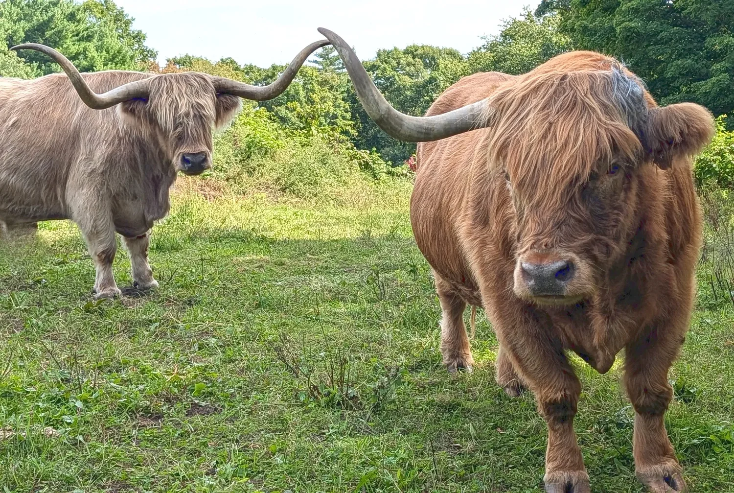 From the Farm: When is a retirement not a retirement?