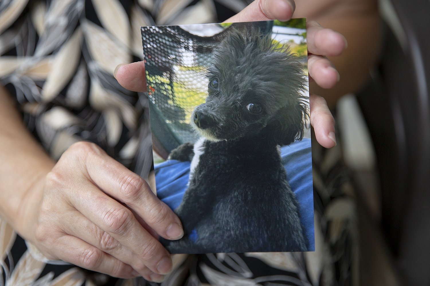 Hartland woman's dog killed in sudden attack. She worries it'll happen again