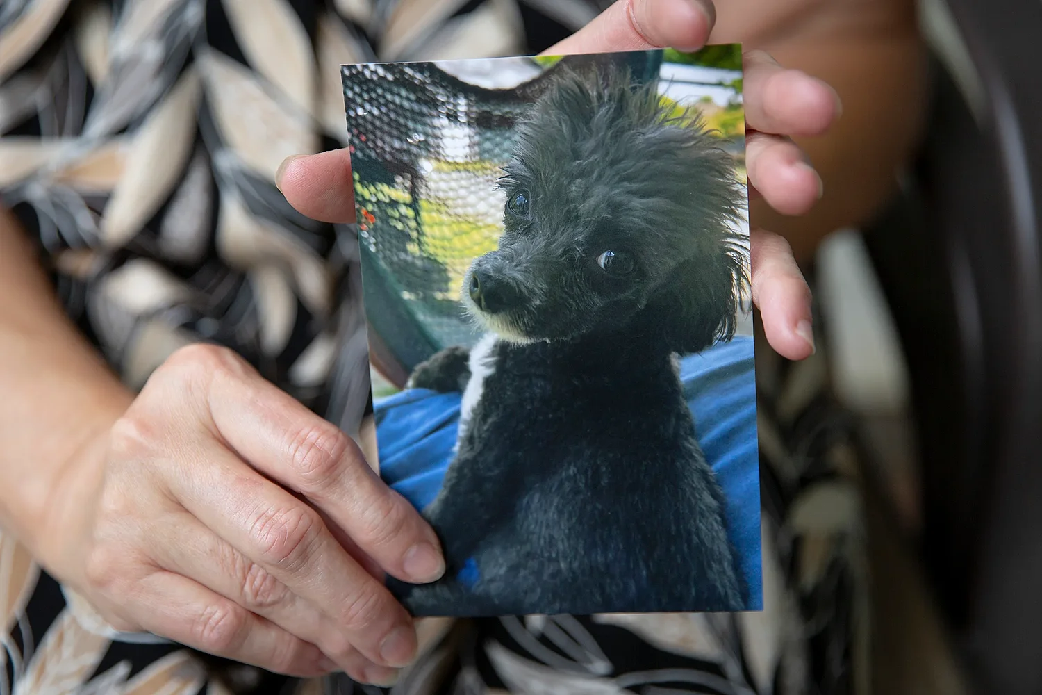 Hartland woman's dog killed in sudden attack. She worries it'll happen again