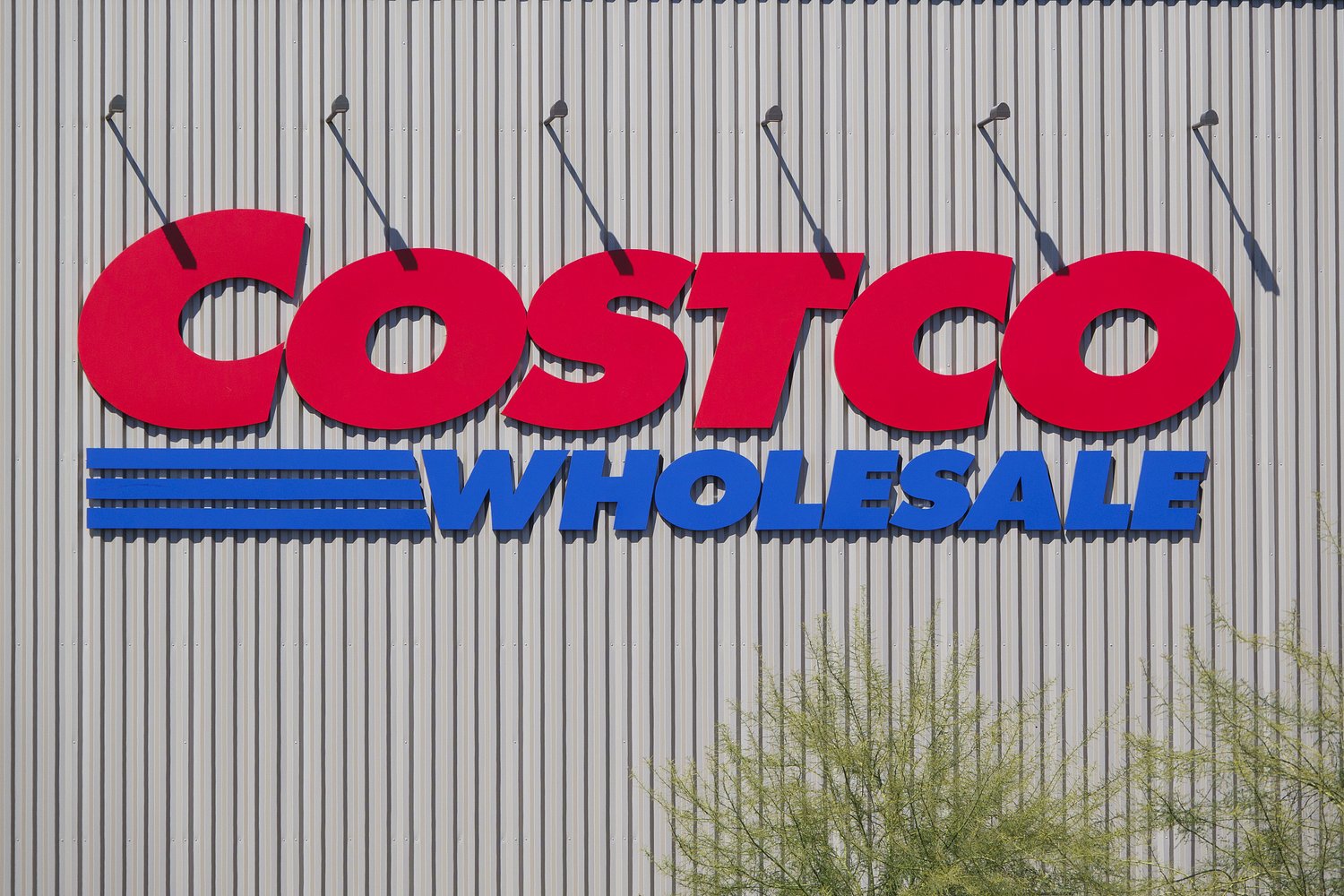 Coscto stores see rush for iconic retro sweatshirt after social media buzz, It’s sold out everywhere