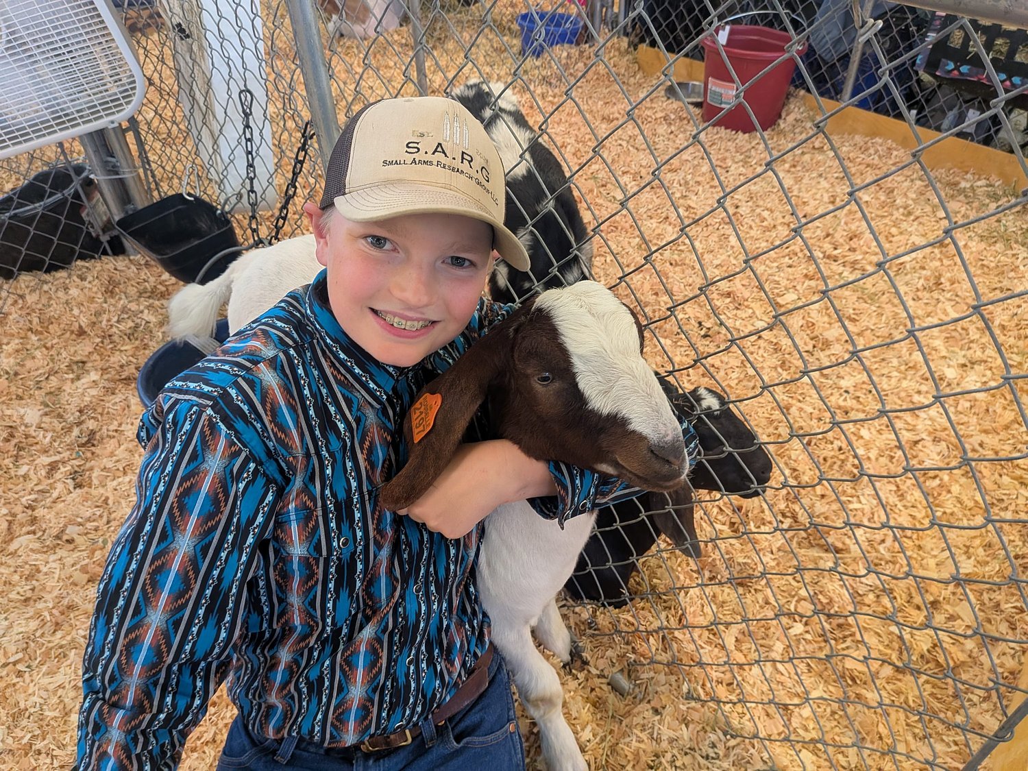 At Lane County Fair, 4-H animals strut their stuff as kids learn skills 