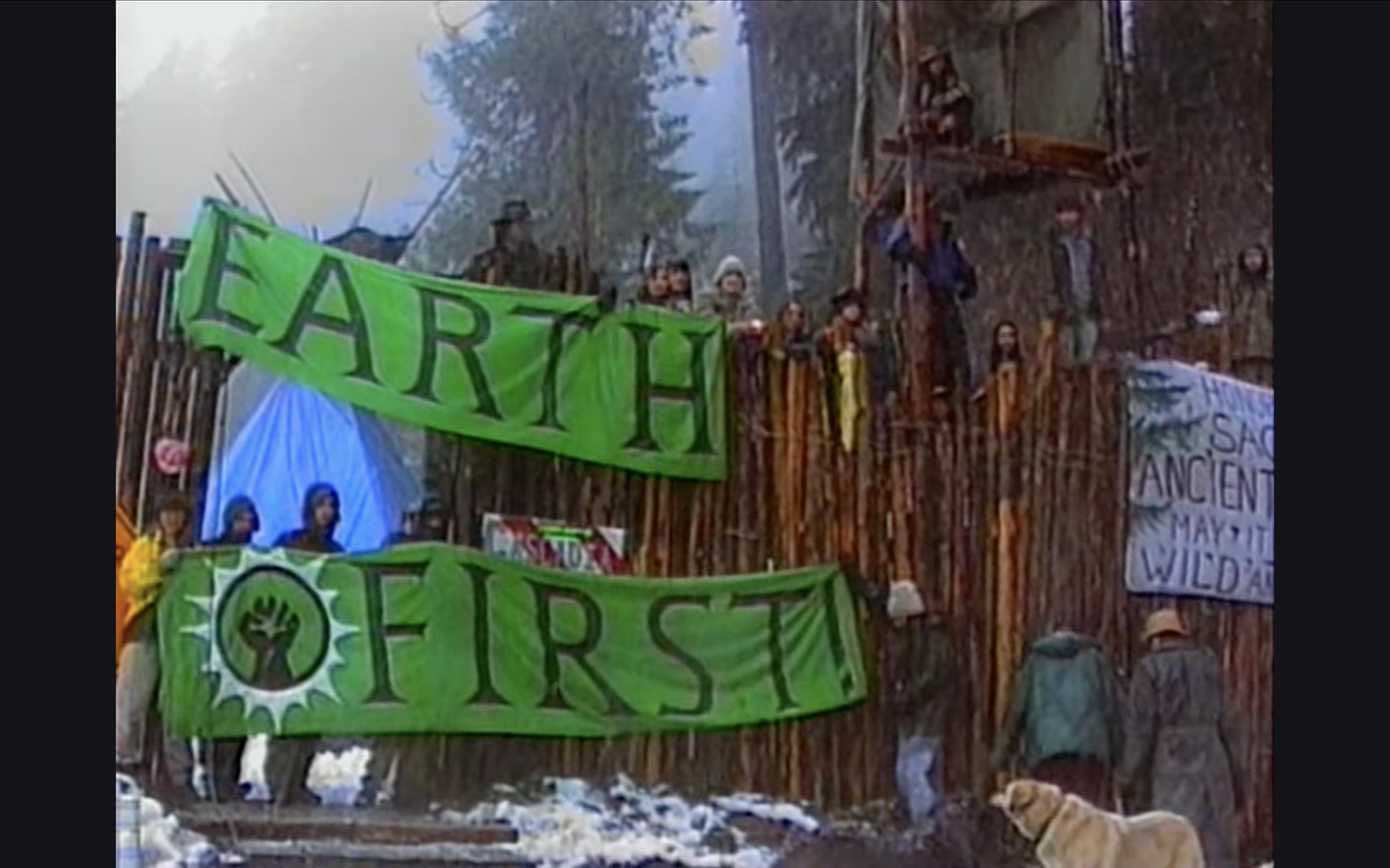 30 years after Warner Creek, the fight for our forests continues