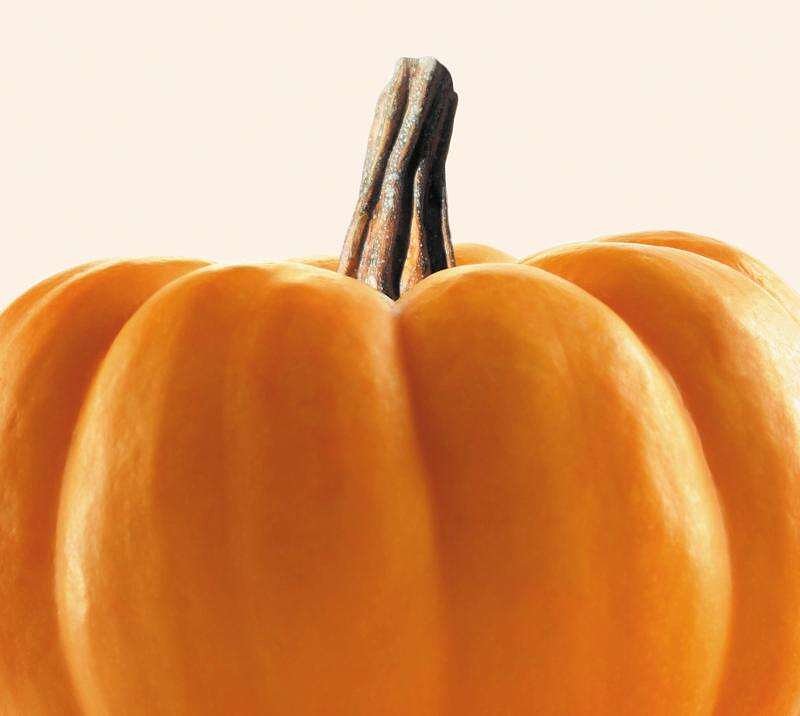 San Juan College Halloween events coming up