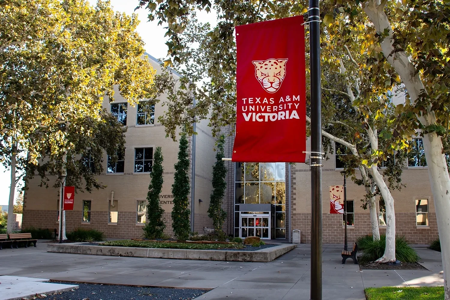 Faculty in uproar after Texas A&M-Victoria implements mandatory in-person policy