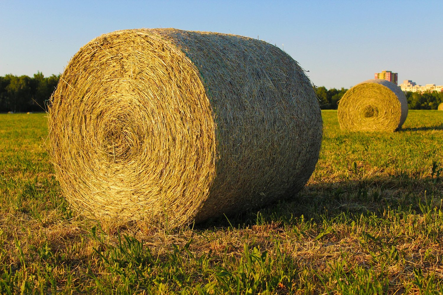 Campbell County invites residents to hit the Bale Trail this fall