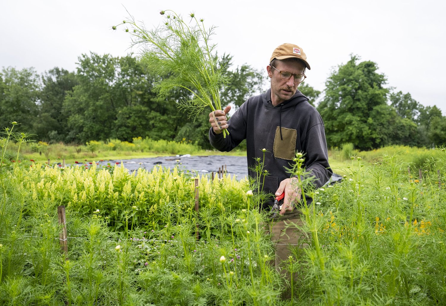 North Amherst Community Farm plots new path