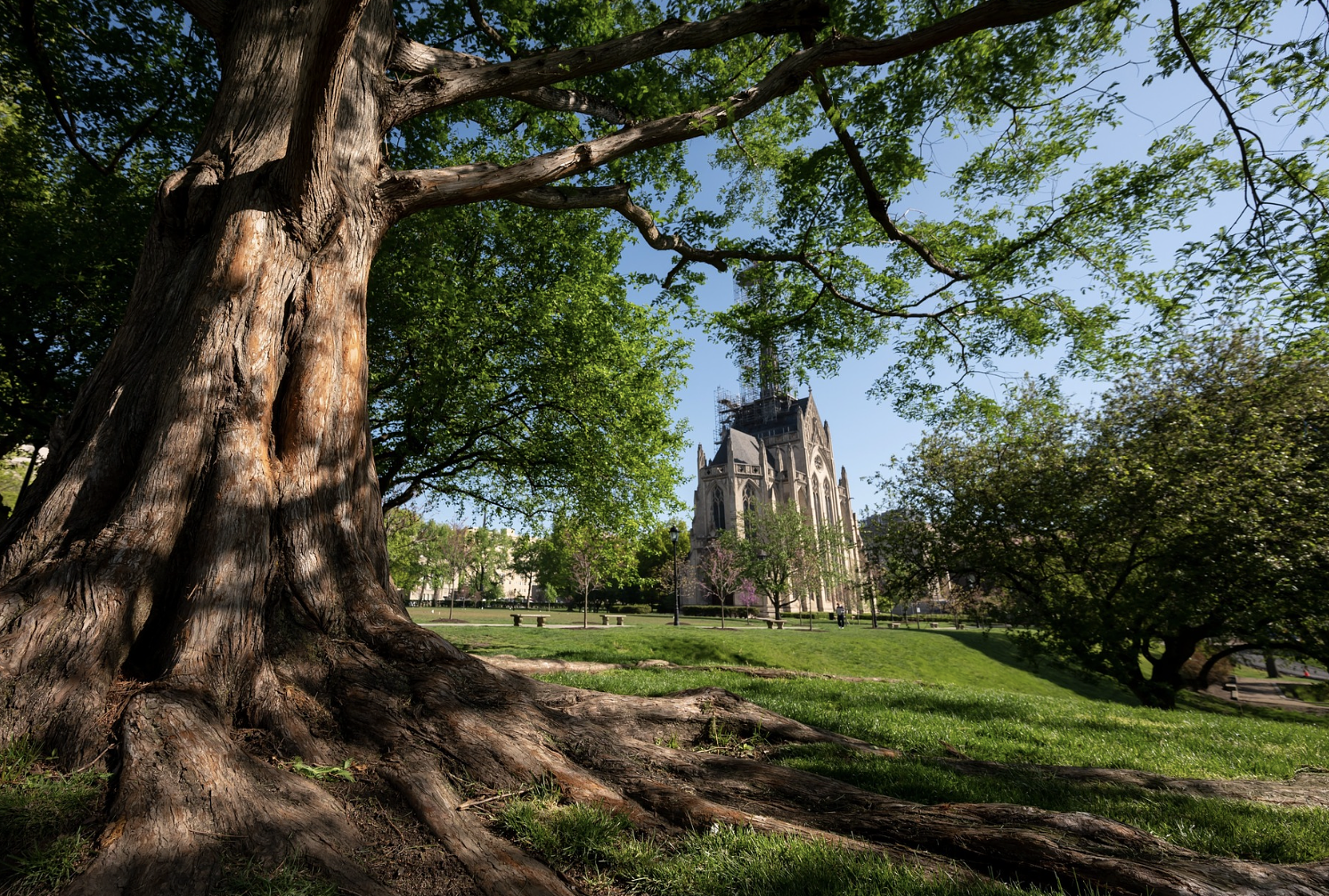 Pa. university maintains top 2% ranking among world’s best universities