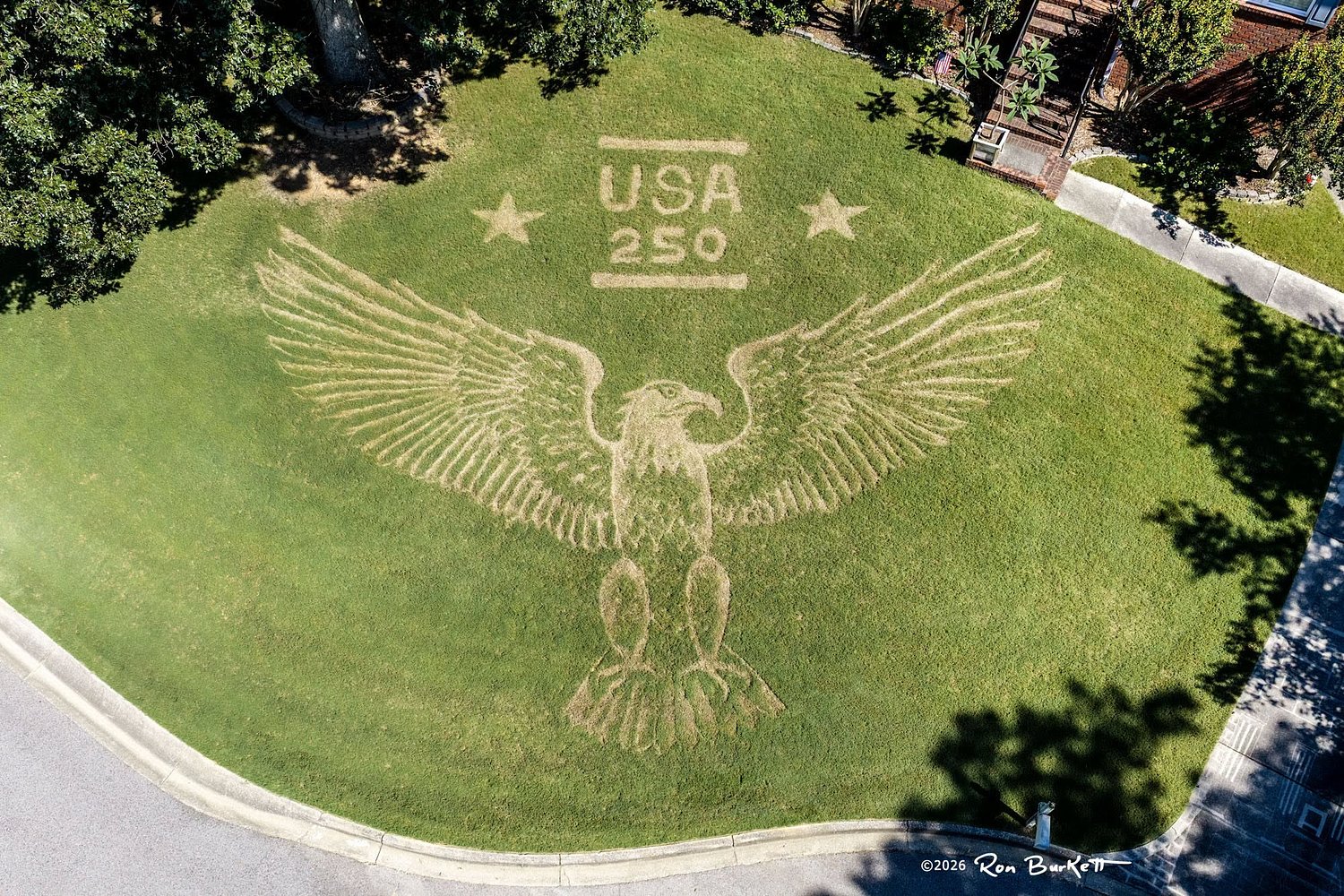 Alabama man creates massive bald eagle lawn mural for country’s 250th anniversary