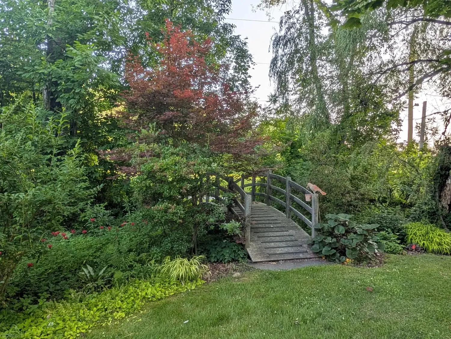 Stop and smell the roses: Greenfield, Gill gardens offering tours on Saturday